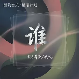 谁(男女扎心合唱)