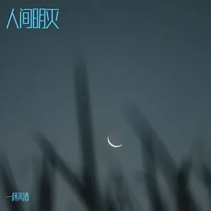 藏花笑