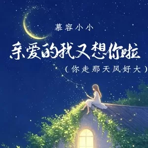 亲爱的我又想你啦(你走那天风好大)