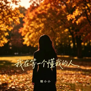 我在等一个懂我的人(深情版)
