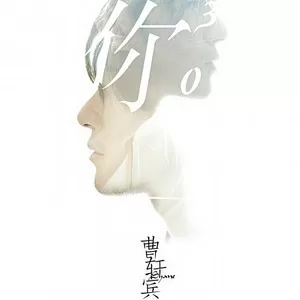 可惜不是你