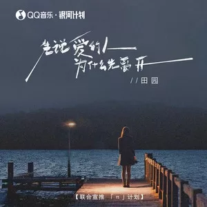 先说爱的人为什么先离开(DJ豪大大版)
