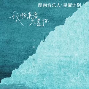 我怕来者不是你(DJ版)
