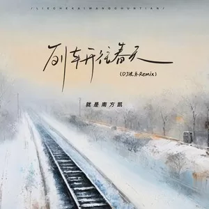 列车开往春天(Remix)(DJ沈乐版)