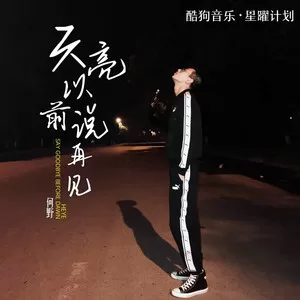 天亮以前说再见