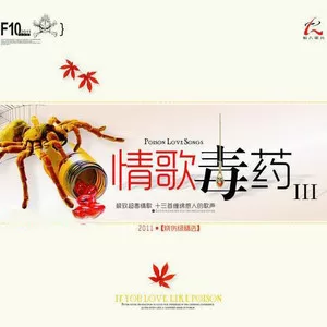 红尘情歌