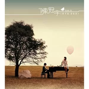 对不起， 我爱你(演奏版)