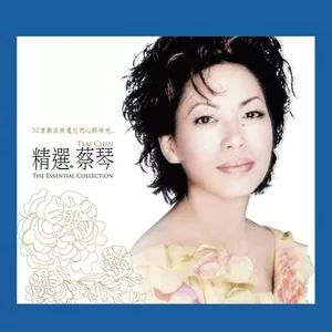 恰似你的温柔(Remastered)