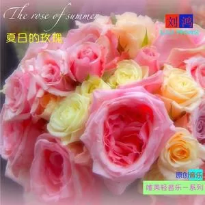 夏日的玫瑰