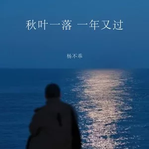秋叶一落 一年又过