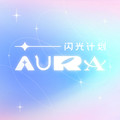 王者荣耀闪光计划